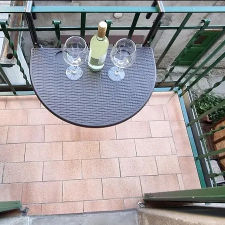 Grazioso Red Rose モルトラージオ